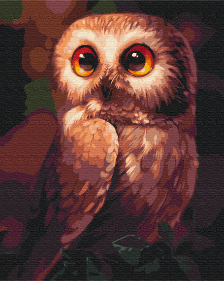 Допитлива сова