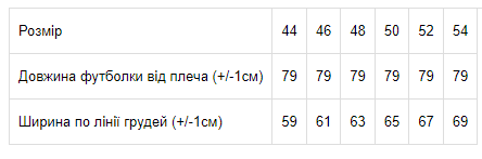 Футболка чоловіча (оверсайз) Носи своє 50 Блакитний (p-6568-148838) | Зображення 2
