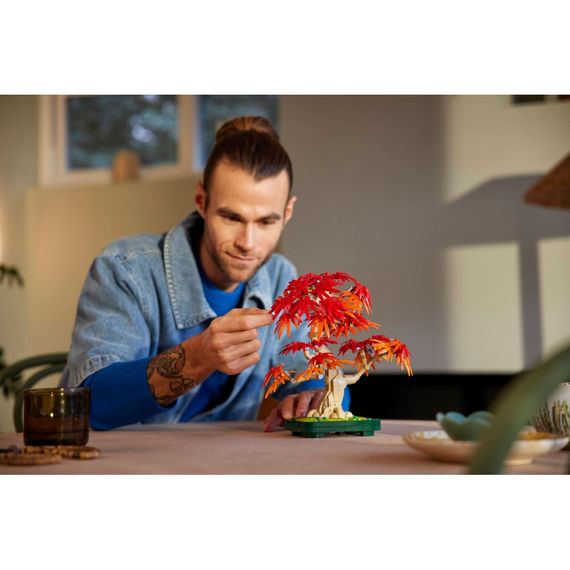 Конструктор LEGO Botanicals Бонсай з японського червоного клена (10348) | Зображення 6