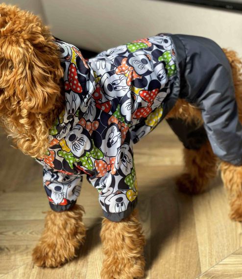 Дощовик Міккі M-89 | Зображення 1