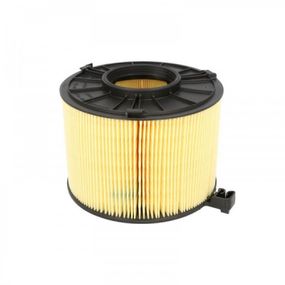 Воздушный фильтр для автомобиля Mann C17012/1