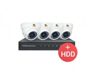 Комплект IP видеонаблюдения Partizan PRO IP-14 4xCAM  1xNVR  HDD