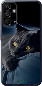 Чохол на Samsung Galaxy A15 Димчастий кіт "825u-3357-2448"