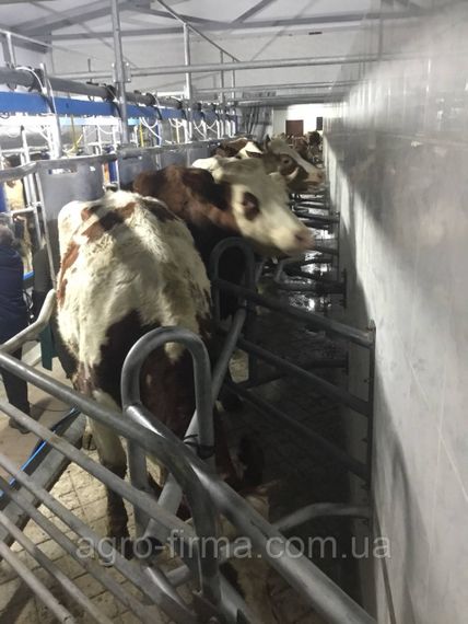 Доильний зал АльфаЛаваль 2*6 б/у с счетчиками мм15 | Зображення 1
