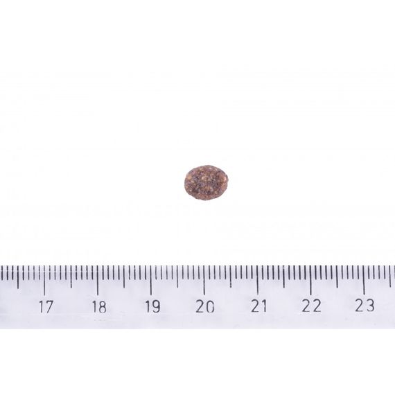 Корм сухий Brit Care Dog Hypoallergenic Adult Small Breed для дорослих собак малих порід від 1 до 10 кг гіпоалергенний з ягн | Зображення 3