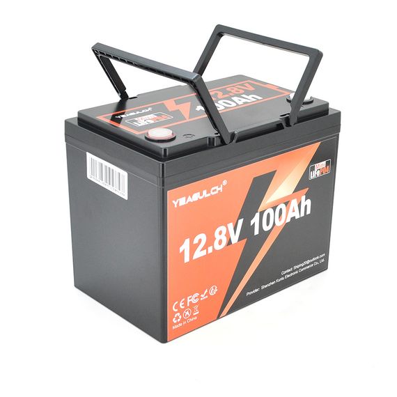 Акумуляторна батарея YEAGULCH Mini LiFePO4 12,8V 100Ah 1280Wh, BMS-100A, (  246 x 187 x 197) , M8, 12.9kg Q1