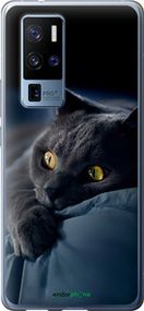 Чохол на Vivo X50 Pro Plus Димчастий кіт "825u-2056-2448"