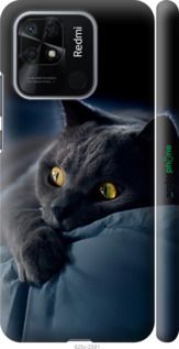 Чохол на Xiaomi Redmi 10C Димчастий кіт "825m-2591-2448"