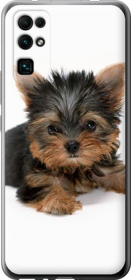 Чехол на Huawei Honor 30 Щенок йоркширского терьера "931u-1921-17620"