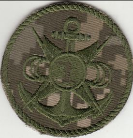 Шеврон Центр контроля безопасности информации