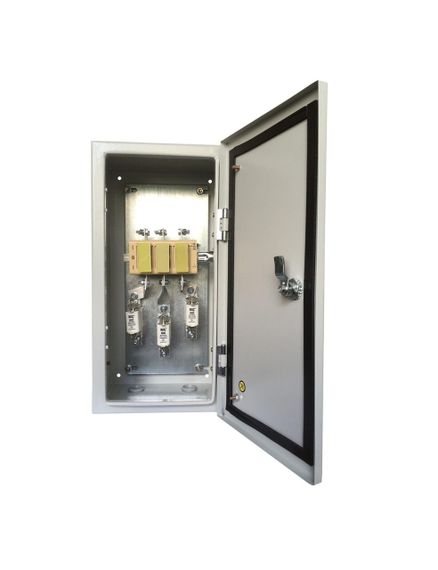 Ящик с перекидным рубильником и предохранителями ЯПРП 100 IP54 Ny95503484 | Зображення 1