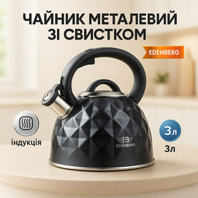 Чайник для газової плити з нержавіючої сталі 3 Edenberg EB-8833 3л, Чайник на плиту для кухні QI-57