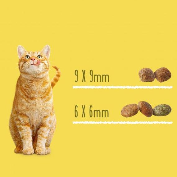 Сухий корм Purina Friskies для стерилізованих котів з лососем та овочами 2шт*10 кг | Зображення 3