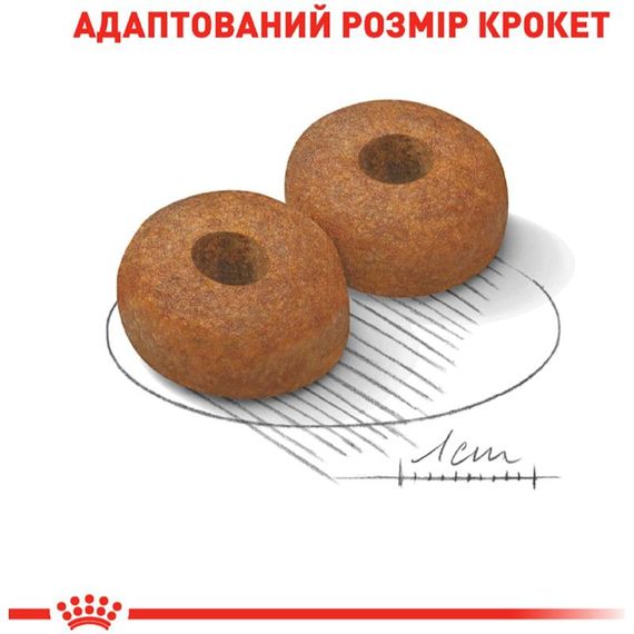 Сухий корм для літніх собак Royal Canin Maxi Ageing 8+ 15 кг (3182550803113) | Зображення 1