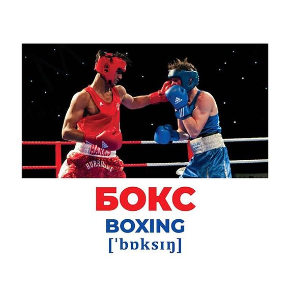 Набір розвиваючих карток Геній з пелюшок Види спорту 10107204, 17 карток | Зображення 1