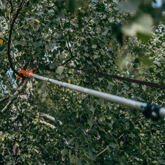 Пила з секатором без ручки Bradas V-SERIES KT-V1521HS | Зображення 3