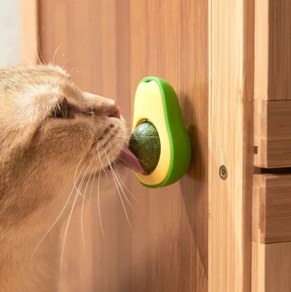 Іграшка для котів лизун Авокадо з кошачою м'ятою | Зображення 3