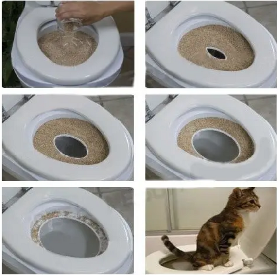 CitiKitty Котячий туалет, Накладка на унітаз для котів   знижка