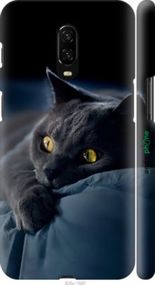 Чохол на OnePlus 6T Димчастий кіт "825m-1587-2448"