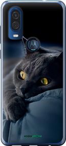 Чохол на Motorola One Vision Димчастий кіт "825u-1782-2448"