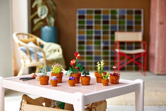 Конструктор LEGO Icons Botanicals Маленькие цветы 10329 | Зображення 8