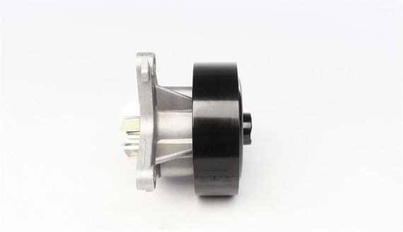 Помпа воды Renault Laguna III Megane III Scenic III Nissan X-Trail Qashqai 2.0 16V 07- R B 8 лоп  PA1183 | Зображення 1