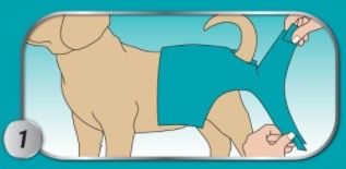 Багаторазовий підгузник для собак Simple Solution Washable Diaper, розмір S | Зображення 5