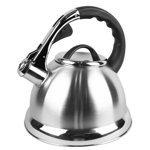 Чайник 2,8л металевий MR-1328 Maestro