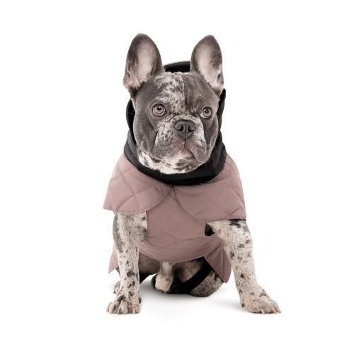 Попона Pet Fashion Max для собак S2 такса | Зображення 2