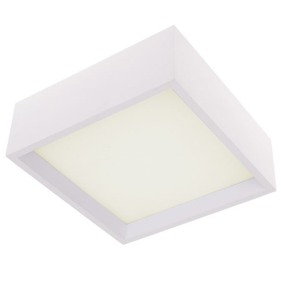 Светильник настенно-потолочный светодиодный накладной WBL-22/20W WW WH | Зображення 3