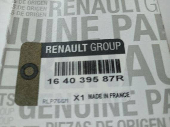 Фільтр паливний Trafic/Master, RENAULT (164039587R) | Зображення 1