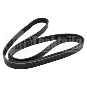 Ремень ручейковый Renault Master / Opel Movano 2.3DCI\CDTI 10- (7PK2054), AutoTechteile, 907 2054, CA7PK2050