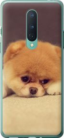 Чехол на OnePlus 8 Boo 2 "890u-1902-17620"