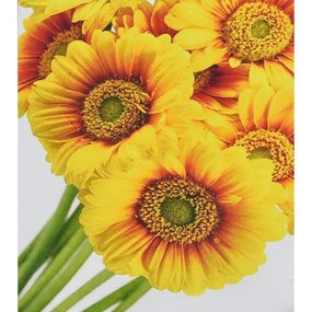 Алмазная мозаика "Солнечные цветы" HEG88145 30х40 см