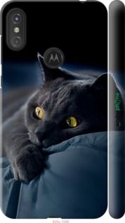 Чохол на Motorola One Power Димчастий кіт "825m-1588-2448"