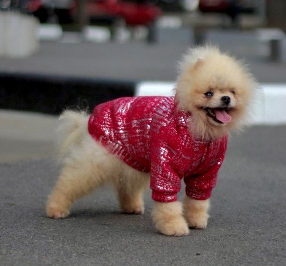 Толстовка зі сріблом червона Y-298 | Зображення 1