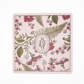 Захисний килимок для ванної кімнати діатомітовий вологоабсорбуючий 58*57 см HP-42-2P