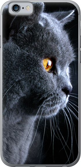 Чехол на iPhone 6s Красивый кот "3038u-90-17620"