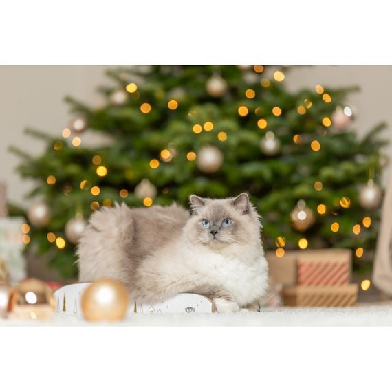 Кігтеточка-хвиля Trixie для котів Різдвяна кортонна  біло-золота 43,5х8х20 см | Зображення 7