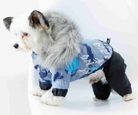 Комбінезон зі знімними штанами арт CO-32