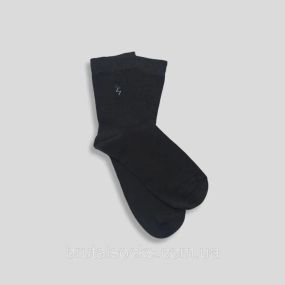 Шкарпетки чоловічі класичні демісезонні Тм TwinSocks Сірий, 27 / L / 41-42