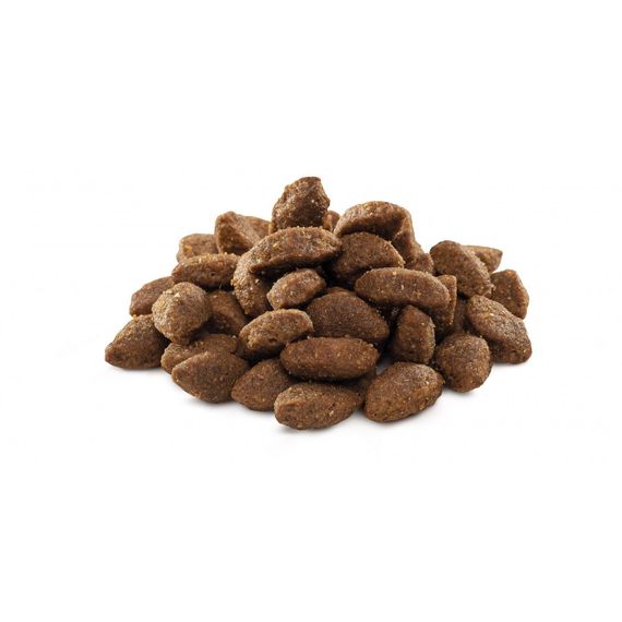 Корм сухий Brit Premium Dog Sport для дорослих собак усіх порід з високими витратами енергії з куркою 3 кг | Зображення 1