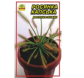 Насіння Росянка капська 5 шт. (Насіння країни)