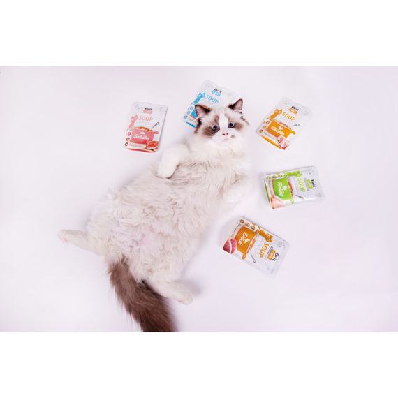 Корм вологий Brit Care Soup Turkey д/котів суп з індичкою 75 г | Зображення 5