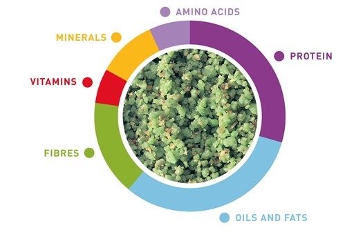 М'який корм для зерноїдних птахів Padovan Melange Vegetable, 300 гр | Зображення 1