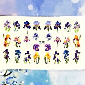 Слайдер 2508 на водяній основі