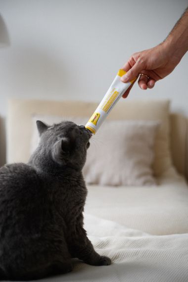 GimCat Cheese Biotin Paste паста для кошек для здоровья и красоты шерсти и кожи, 100 гр | Зображення 3