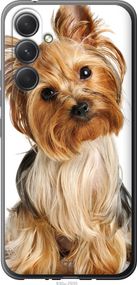 Чехол на Samsung Galaxy A54 A546E Йоркширский терьер с хвостиком "930u-2935-17620"