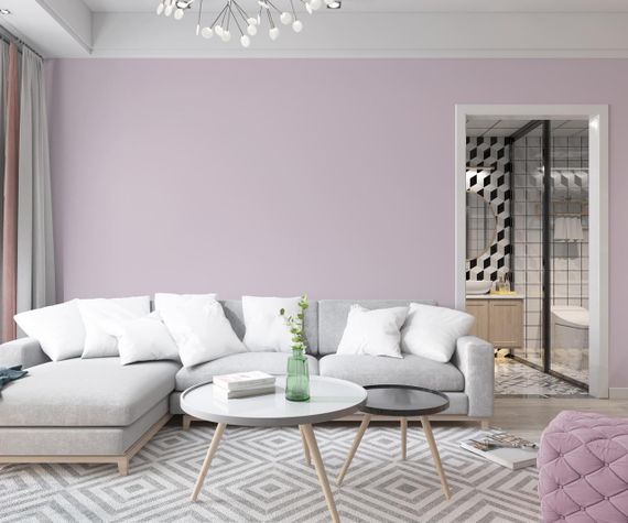 Краска Интерьерная Латексная Skyline 1510-R20B Припыленная лаванда 10л | Зображення 2