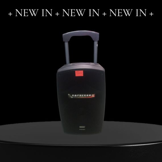 Динамік Temeisheng SL 12-32 з двома мікрофонами 12″ 150 Вт XPRO (45717-12-32_9034) | Зображення 2